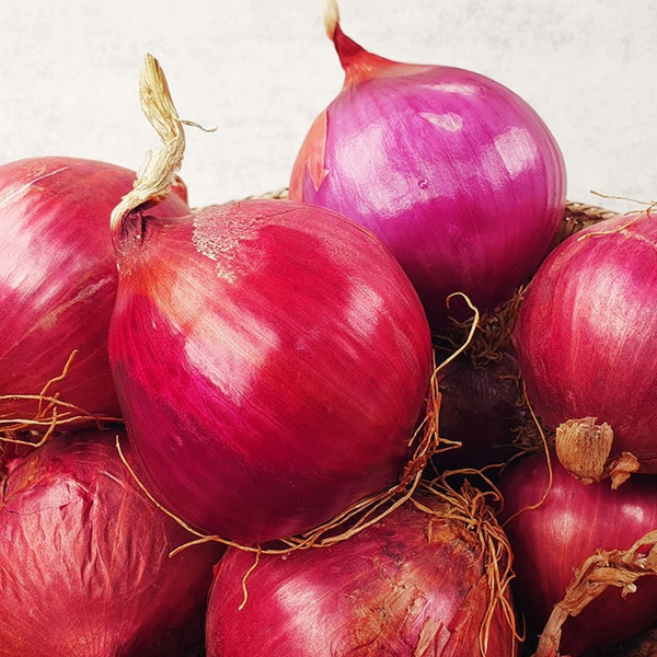 무안 자색 양파즙 (100ml x 30포) 유통기한:2025년 9월 17일