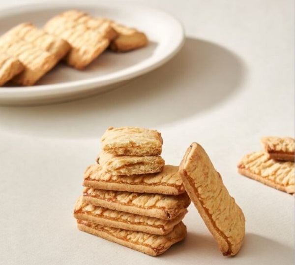 제주 감귤 사브레 샌드 (10개입)