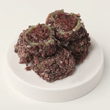 [꽃마Fresh] 명미당 제주 오메기떡 선물세트 (1.2kg)