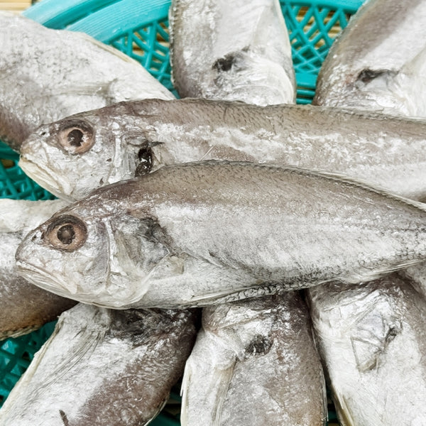 [꽃마Fresh] 한국산 반건조 백굴비 150g