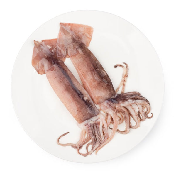 [무료별도배송][꽃마Fresh] 바로 조리 가능한 손질 통 오징어(260g) x 3팩 유통기한: 2027년 9월 20일