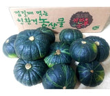 [고국배송] 제주 유기농 밤호박 보우짱 10kg