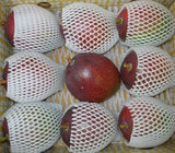 [고국배송] 청정제주 애플망고(3kg/9개)