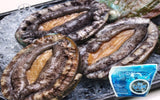 [고국배송] 활전복 특대 7-8미 1kg
