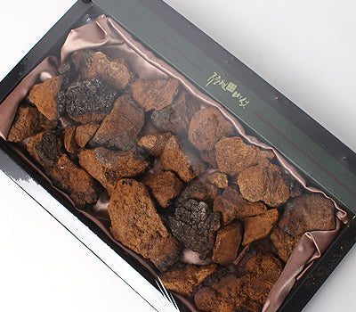 [고국배송] 차가버섯500g.