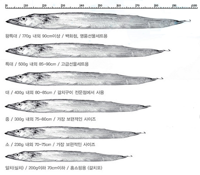 [고국배송] 청정제주 은갈치(왕특대4미)