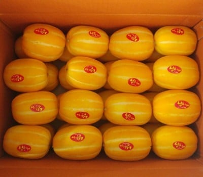 [고국배송] [제철공구]성주참외5kg10~21과내