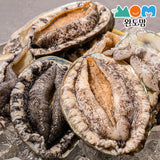 [무료별도배송][꽃마Fresh] 완도맘 전복 사시미 특대 1kg (12~13미) 유통기한: 2028년 6월 9일