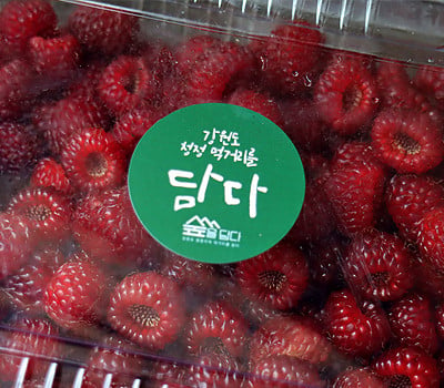 [고국배송] 강원도 노지 산딸기 500g