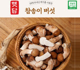 [고국배송] [햇담송]국내산 참송이버섯 정품 특사이즈 최상급 500g 1kg