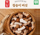 [고국배송] [햇담송]무농약 국내산 참송이버섯 VIP 선물세트 특등급 1kg