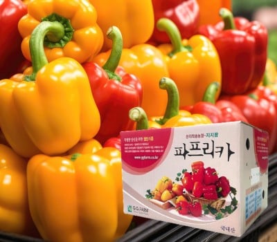 [고국배송] [지지팜] 파프리카 프리미엄 2kg 빨강 노랑 주황 아삭달큰