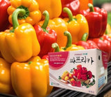 [고국배송] [지지팜] 파프리카 프리미엄 2kg 빨강 노랑 주황 아삭달큰