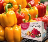[고국배송] [지지팜] 파프리카 프리미엄 2kg 빨강 노랑 주황 아삭달큰