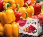 [고국배송] [지지팜] 파프리카 프리미엄 2kg 빨강 노랑 주황 아삭달큰