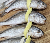 [고국배송] 국내산 영광 법성포 굴비 선물세트