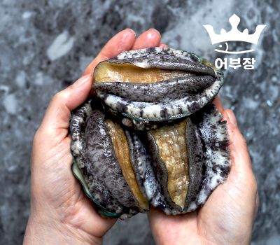 [고국배송] 특가 완도 활 전복 1kg 7미~8미(손질칼증정)