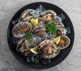 [고국배송] 활전복 직접 생산한 인증받은 왕특대 5-6미 1kg(선물용)