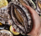 [고국배송] 활전복 직접 생산한 인증받은 왕특대 5-6미 1kg(선물용)