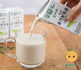 [고국배송] (바리의꿈) Non-GMO 유기농 두유 190ml 64팩
