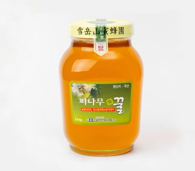 [고국배송] [꽃꿀100%] 설악산허니팜_피나무꿀 2.4kg