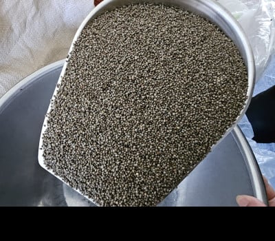 [고국배송] 유기농 생들기름 180ml