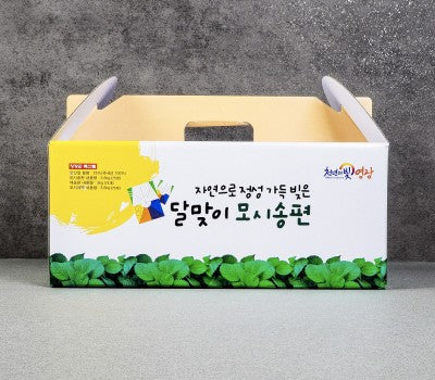[고국배송] 영광 달맞이 모시송편 (60개 / 3가지 맛)