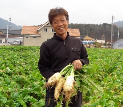 [고국배송] 조청셋트할인 3호 (무엿250+찐생강가루80+생강조청250)