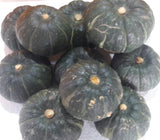 [고국배송] 미니밤호박(보우짱) 프리미엄5kg(9~15)개 / 300~650g 혼합과