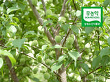 평원농원 - 무농약 매실 발효액 (3년숙성) 1000ml (1주문당 4개 한정) </br>유통기한 : 2024년 5월 10일
