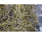 토디네 - 밥에 넣는 톳 100g </br> 유통기한 : 2024년 4월 27일