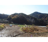 알천농원 - 즉석 시래기국 들깨맛 10g x 3봉 </br> 유통기한 : 2024년 6월 30일