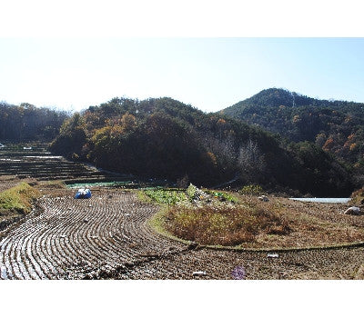 알천농원 - 즉석 시래기국 들깨맛 10g x 3봉 </br> 유통기한 : 2024년 6월 30일