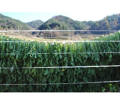 알천농원 - 즉석 시래기국 들깨맛 10g x 3봉 </br> 유통기한 : 2024년 6월 30일