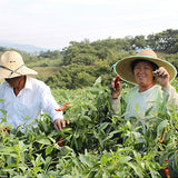 청양골 고추장아찌 (약간매운맛) 500g