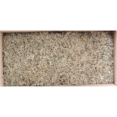 한국산 효송 지리멸치 (1,500g)