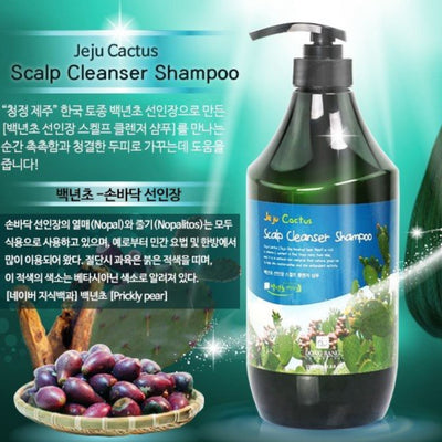 청정 제주 백년초 샴푸 1000ml