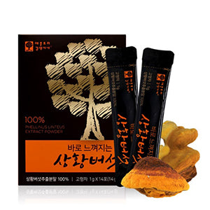 바로 느껴지는 상황버섯 2박스 (4주분)