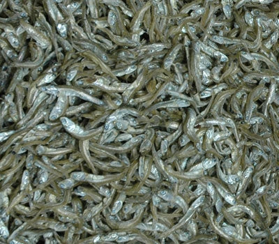 [고국배송] 통영멸치 4종선물세트(대멸350g,중멸350g,소멸350g,세멸400g).