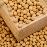 디자인농부 - 백태콩 500g </br> 유통기한 : 2024년 4월 1일