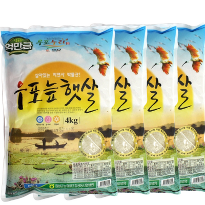 [무료별도배송] 창녕농협쌀 우포늪햇살 4kg 4포<br/>(냉장보관)<br/> (도정일:03/06/2020)