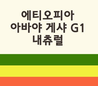 [고국배송] 에티오피아 아바야 게샤 G1 내츄럴 500g