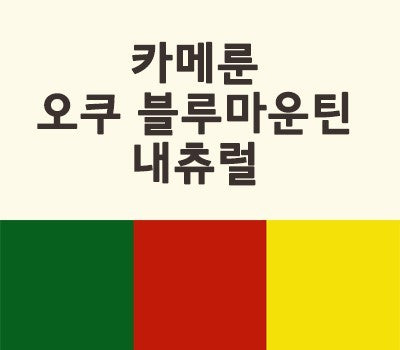[고국배송] 카메룬 오쿠 블루마운틴 500g