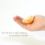 리얼칩 감귤 10g * 3봉