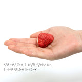 리얼칩 딸기 13g * 3봉